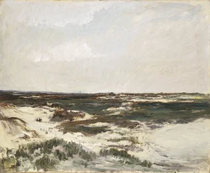 De duinen bij Camiers